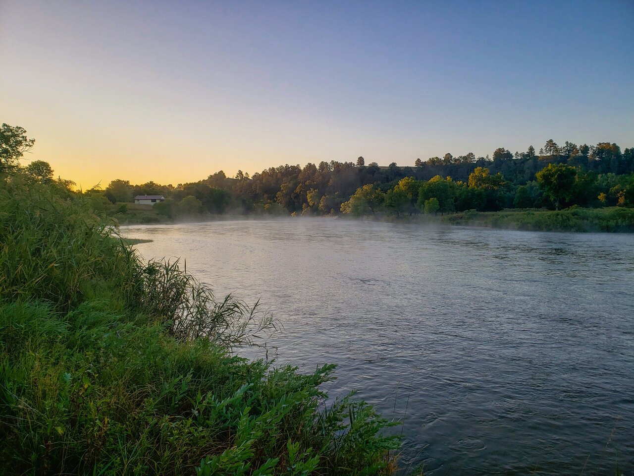 view of a river surrounded by trees and bushes viewed from the shore across from a campus